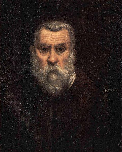 Jacopo Tintoretto Self-portrait. Germany oil painting art